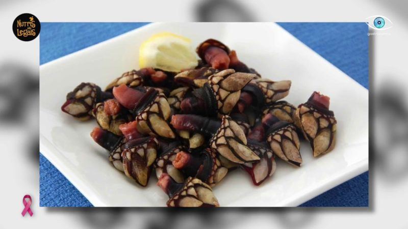 Percebes: crustáceo de aparência no mínimo curiosa é sucesso na mesa do português