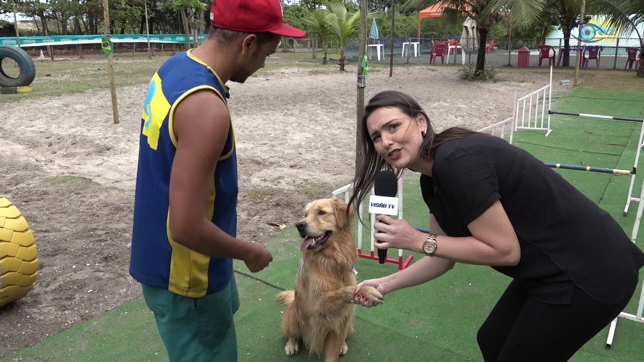 Clube do Totó garante diversão para cães