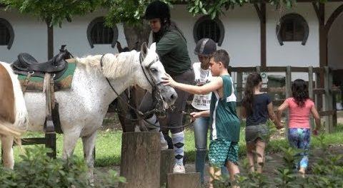 Equitação e Hipismo Rural