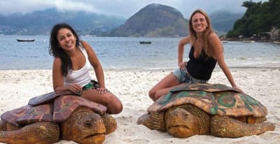 Cidade das Artes oferece EcoJogo sobre preservação da vida marinha