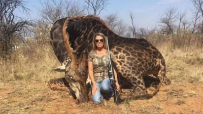 Caçadora causa revolta ao matar rara girafa negra