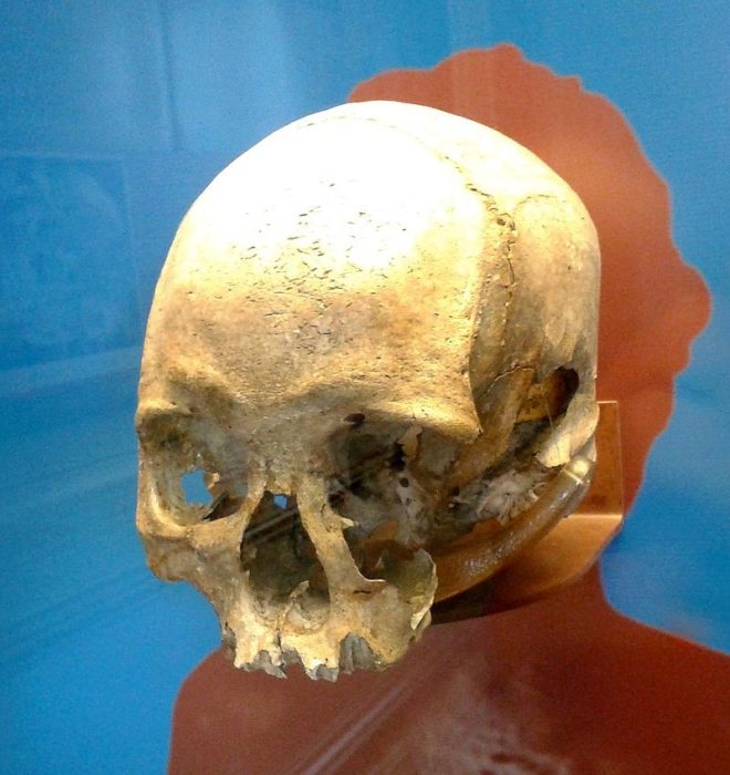 Crânio é encontrado em meio aos escombros do Museu Nacional