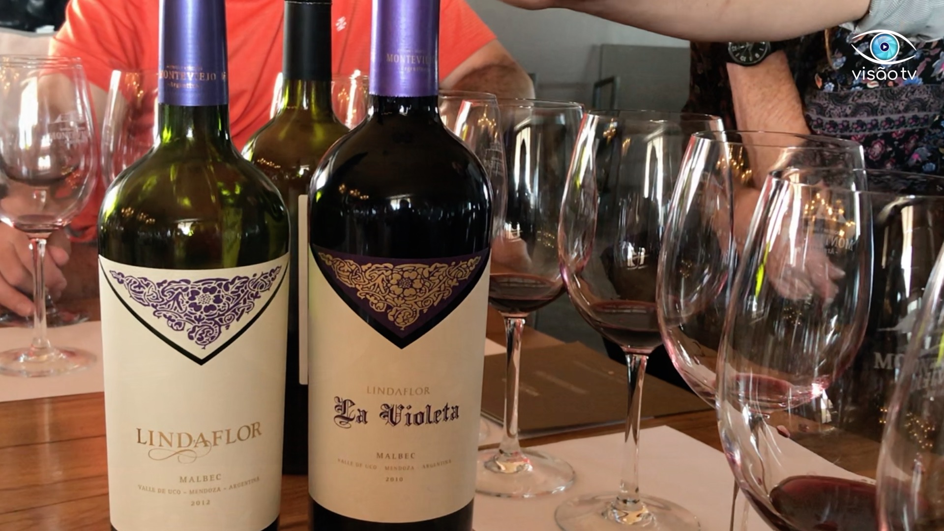 Rota do Vinho: Bodega Monteviejo e seu premiado vinho argentino