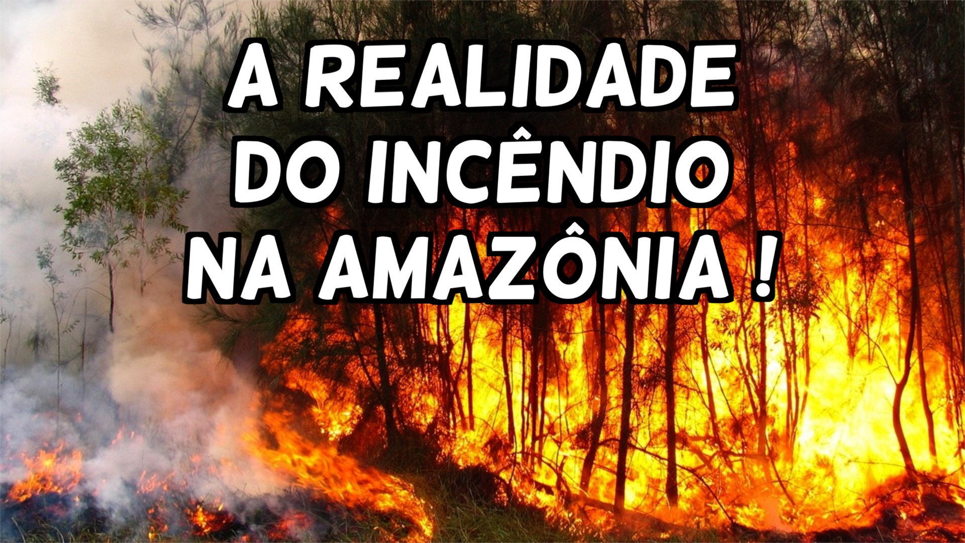 Incêndio na Amazônia e os interesses internacionais, na visão do Especialista Fernando Montenegro