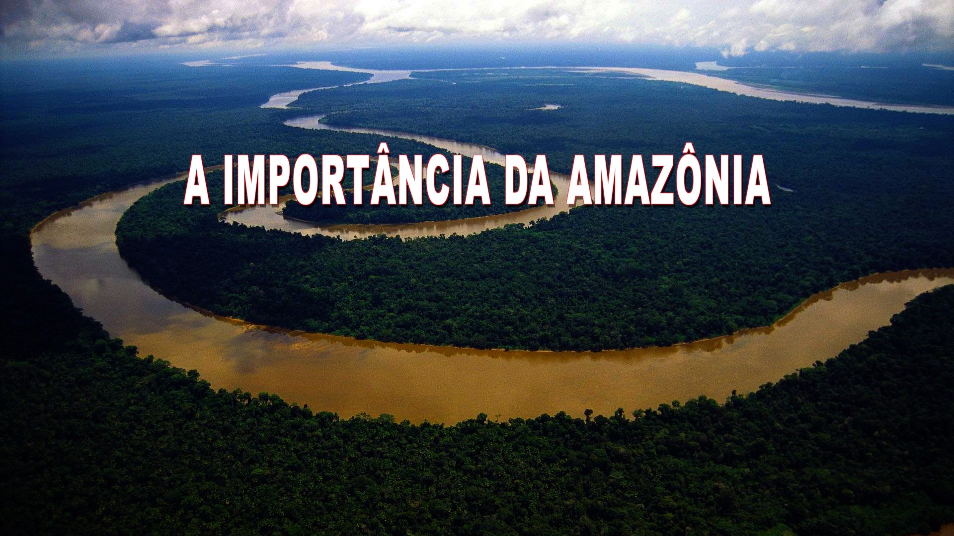 Qual a importância da Amazônia para o mundo e porquê tanta cobiça ?