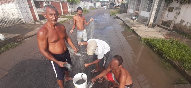 Peixes nas ruas após alagamento surpreendem moradores do Recife
