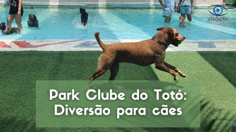 Park Clube do Totó: Diversão para cães