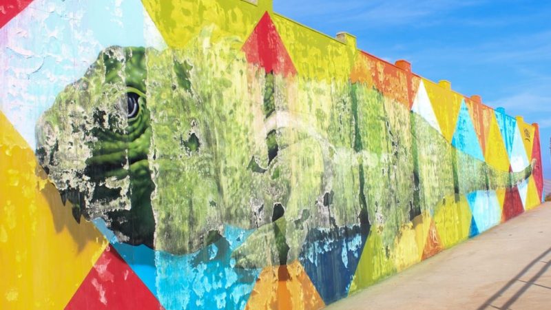 Mural de aproximadamente meio milhão desmancha em Boa Vista