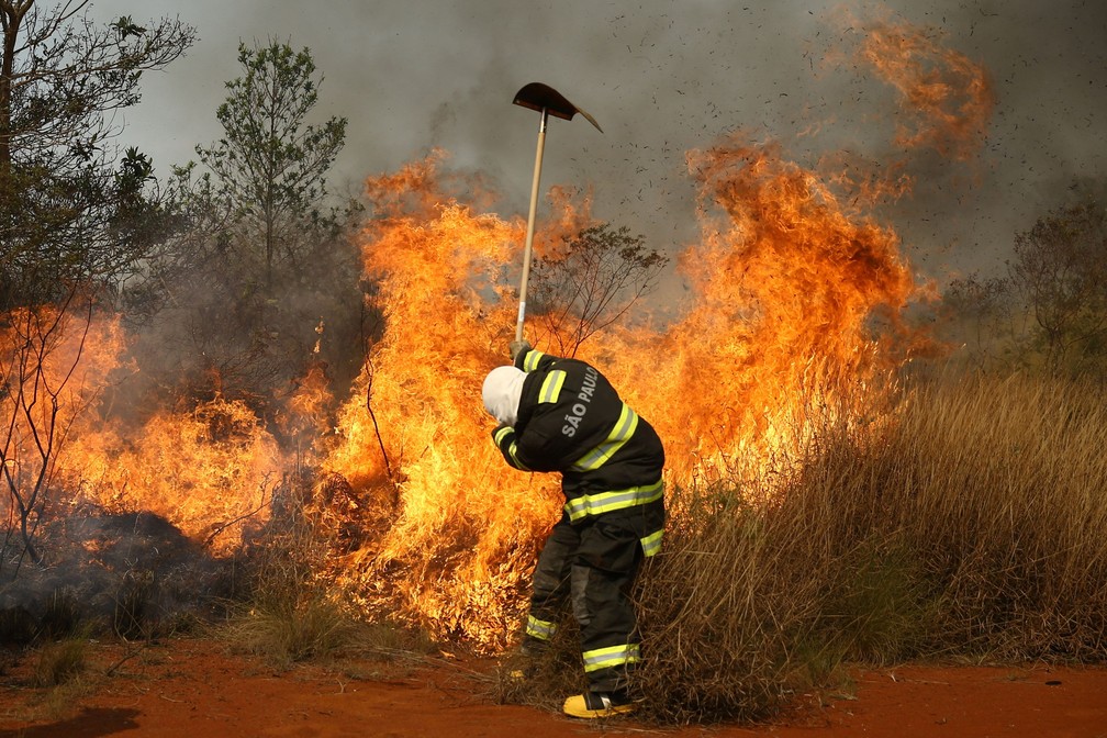 FOTOS: Combate ao fogo no Parque Estadual do Juquery