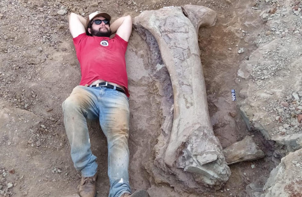Paleontólogo do RS ajuda na descoberta de dinossauro gigante com fêmur de 1,5 metro no Maranhão