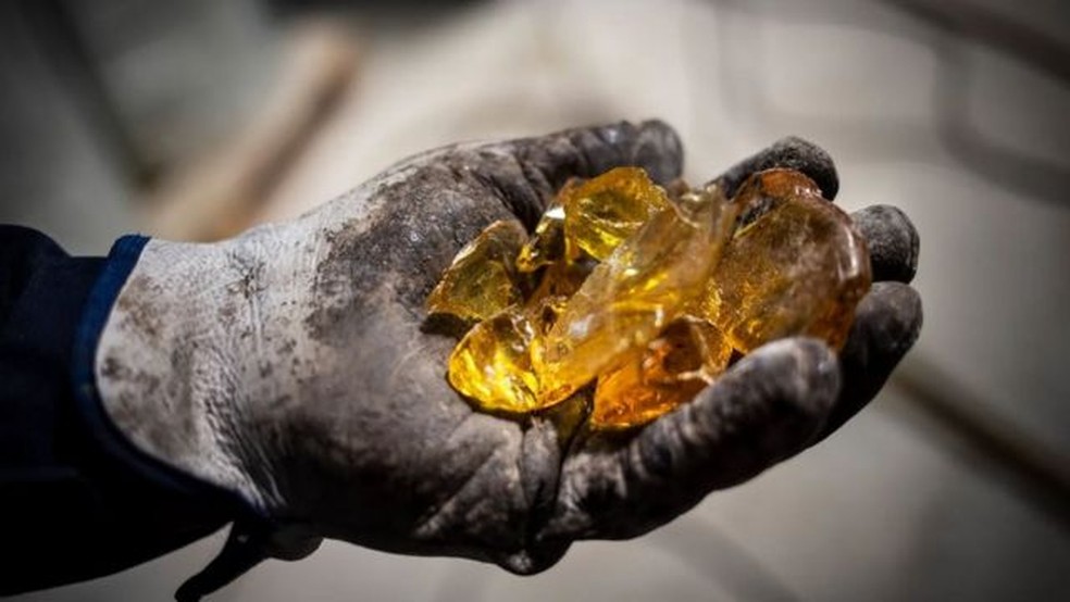 O ‘ouro líquido’ escondido nas florestas da Espanha